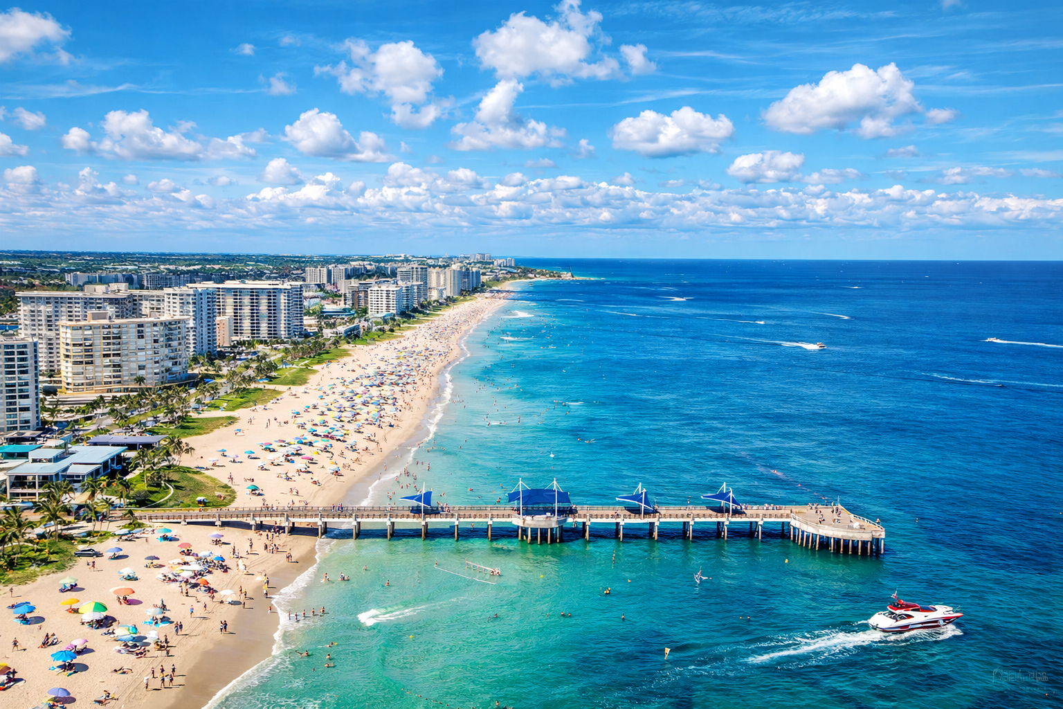 Premium Header Background